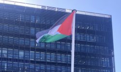 "Une action symbolique" : les écologistes hissent le drapeau palestinien sur le parvis de l’Hôtel de Ville de Montpellier